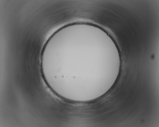 X0000115831287200912241948