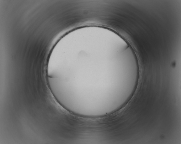 X0000115831288200912241948