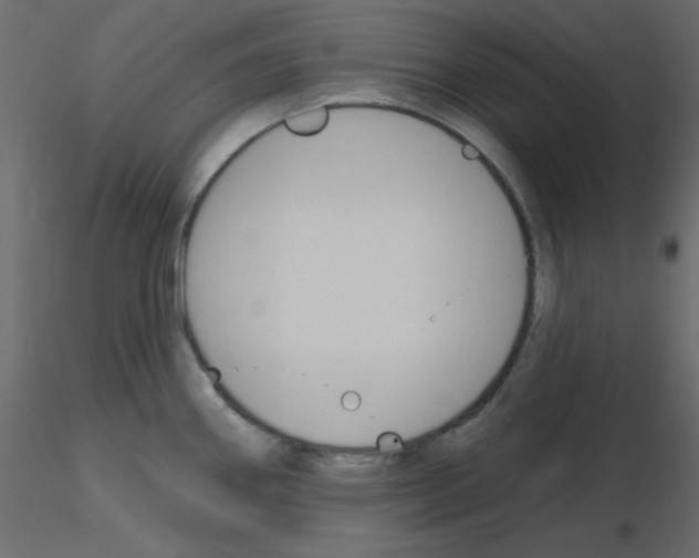 X0000115831290200912241948