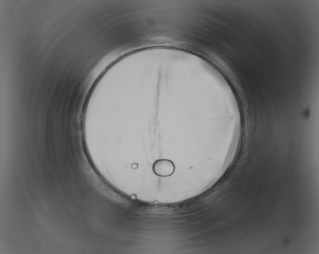 X0000115831291200912241948