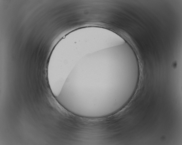 X0000115831292200912241948