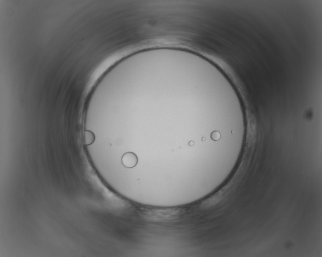 X0000115831294200912241948