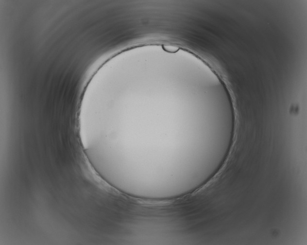 X0000115831296200912241948