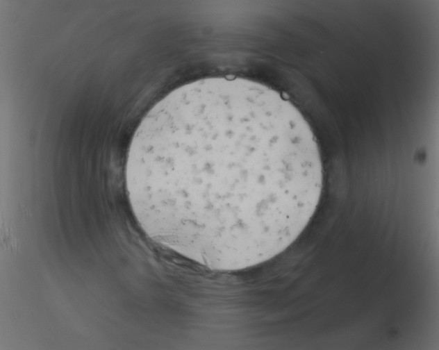 X0000115831298200912241947