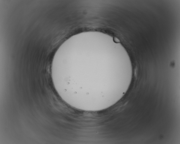 X0000115831299200912241947