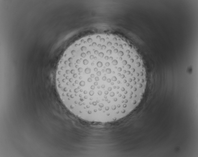 X0000115831302200912241947