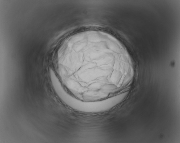 X0000115831303200912241947