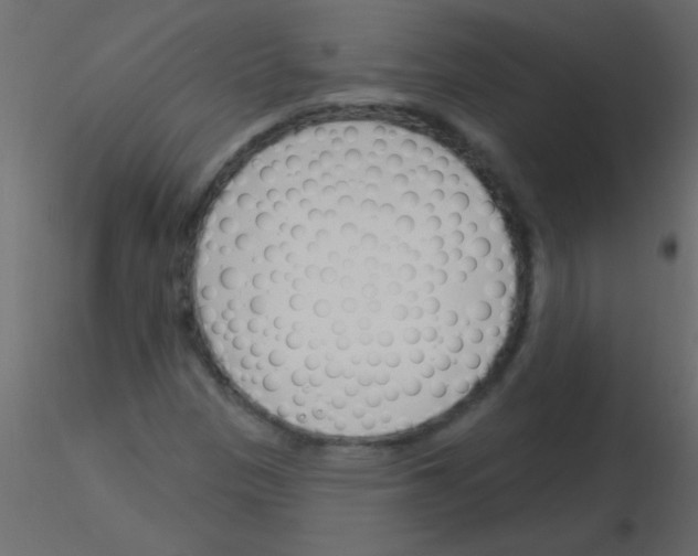 X0000115831305200912241947