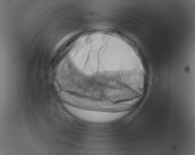 X0000115831306200912241947