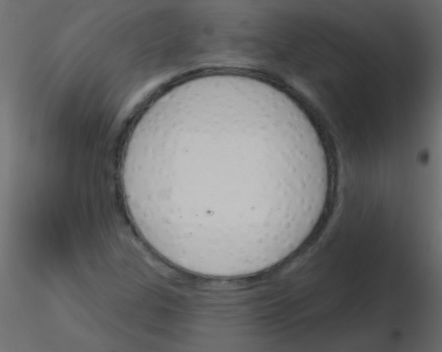 X0000115831307200912241947