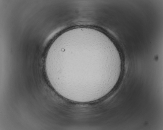 X0000115831309200912241947