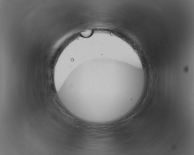 X0000115831310200912241947