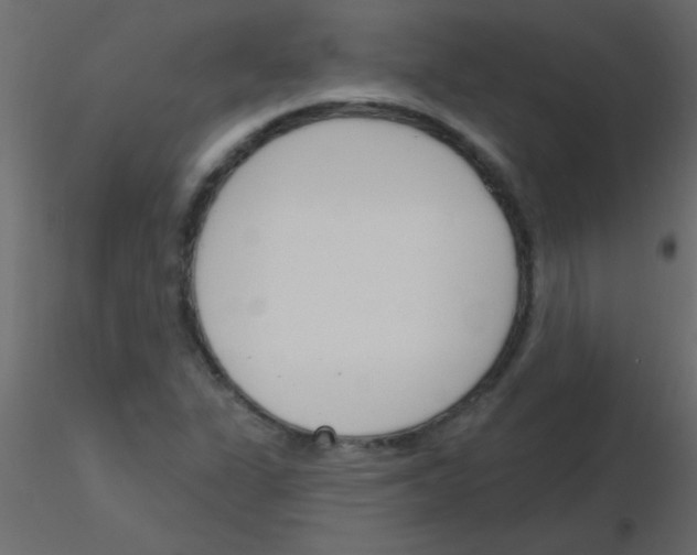 X0000115831311200912241947