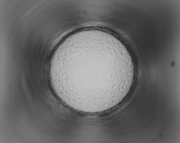 X0000115831313200912241947