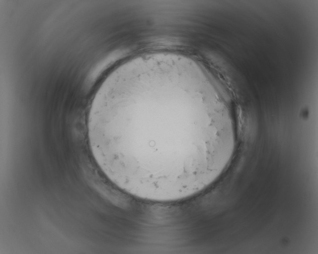 X0000115831314200912241947