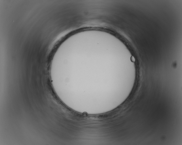 X0000115831315200912241947