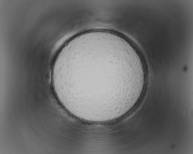 X0000115831317200912241947