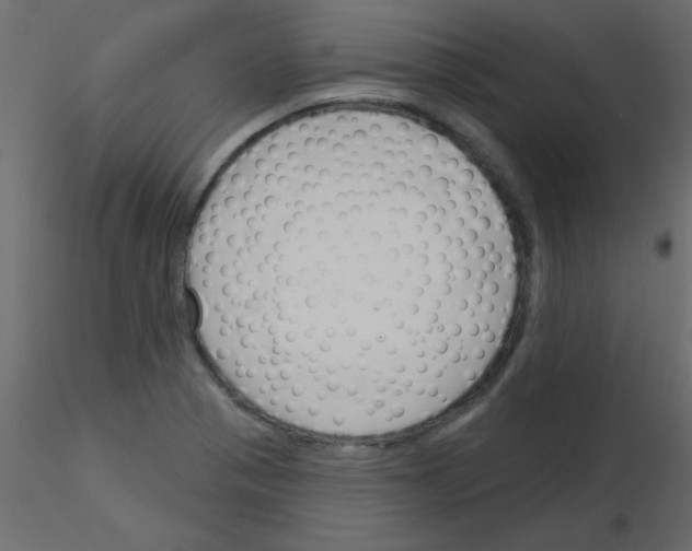 X0000115831321200912241948