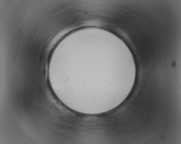 X0000115831323200912241948