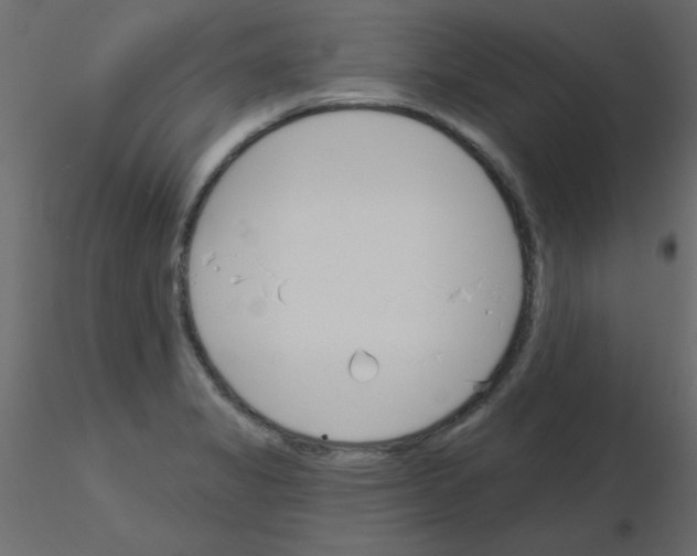 X0000115831325200912241948