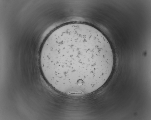 X0000115831326200912241948