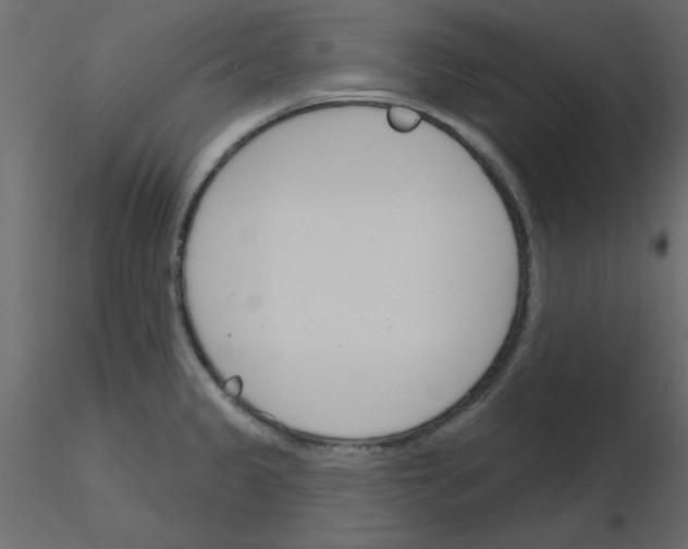 X0000115831333200912241948