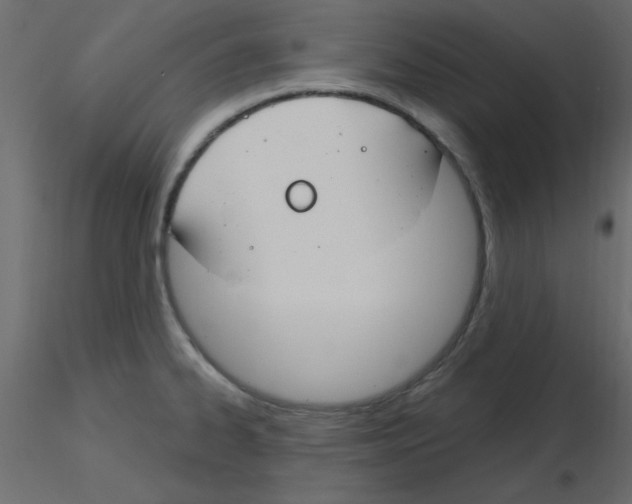 X0000115831334200912241948