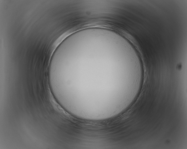 X0000115831338200912241948