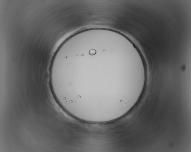 X0000115831341200912241948