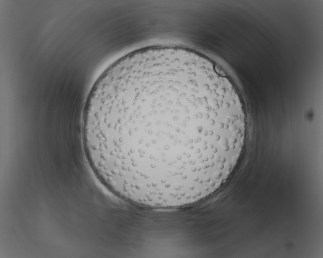 X0000115831343200912241948