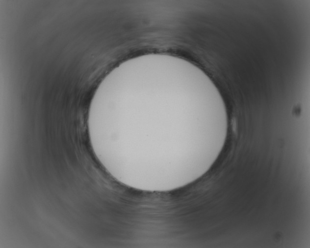 X0000115831347200912241947