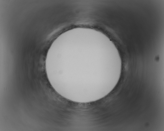 X0000115831350200912241947