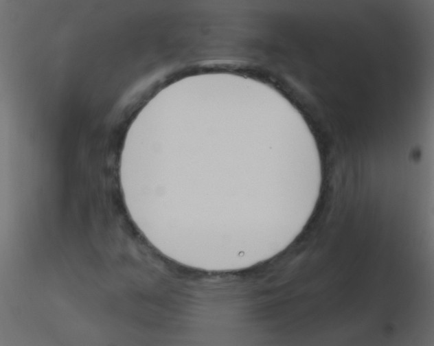 X0000115831351200912241947