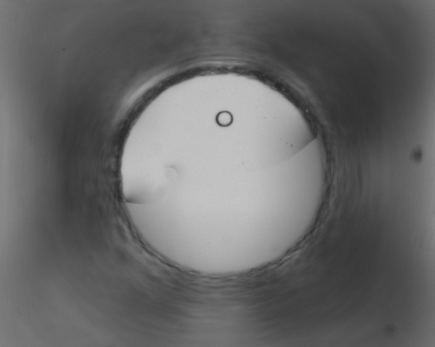 X0000115831352200912241947