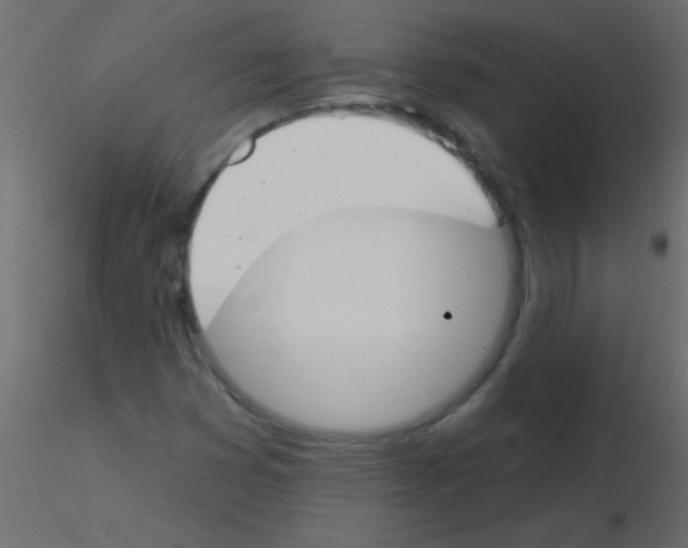 X0000115831353200912241947