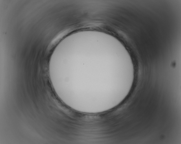 X0000115831354200912241947