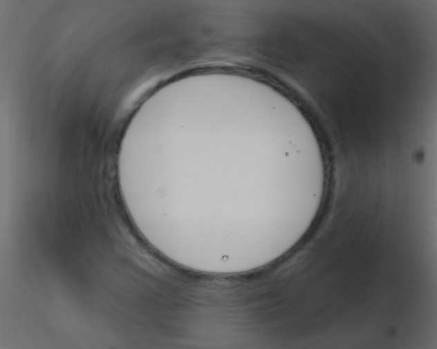 X0000115831355200912241947