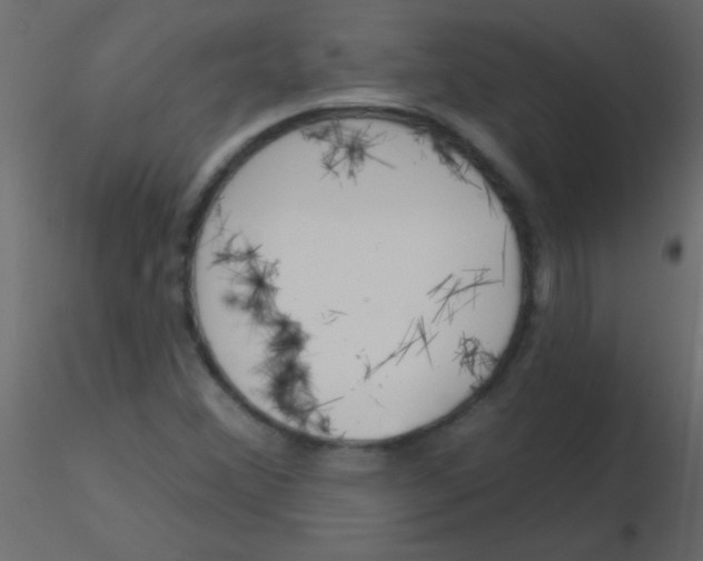 X0000115831356200912241947