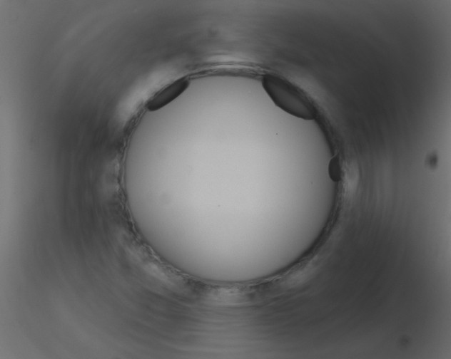 X0000115831357200912241947