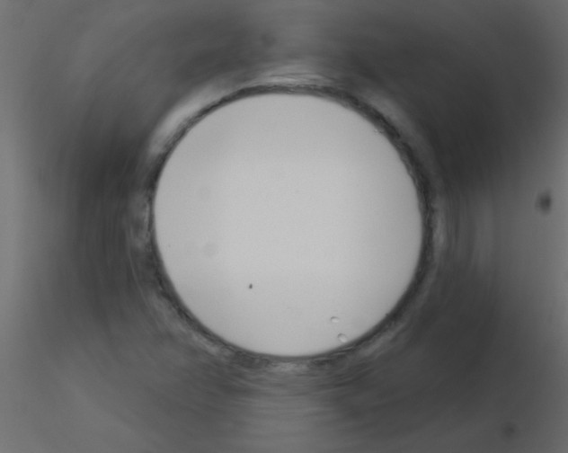 X0000115831358200912241947