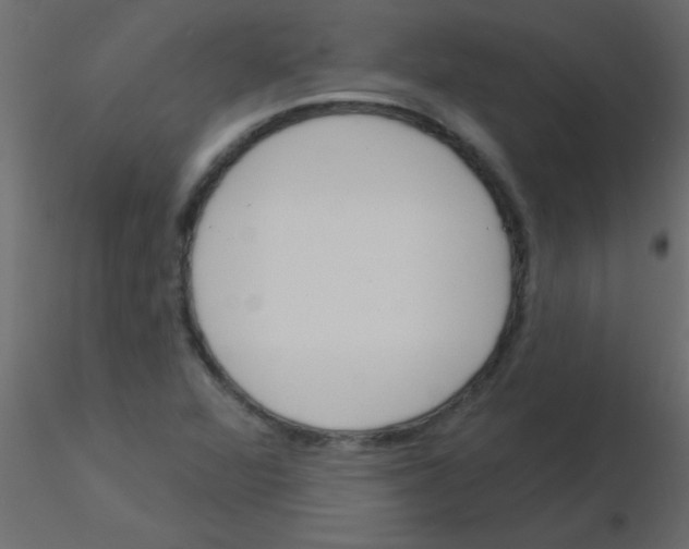 X0000115831360200912241947