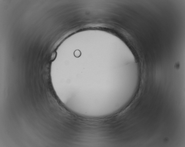 X0000115831361200912241947