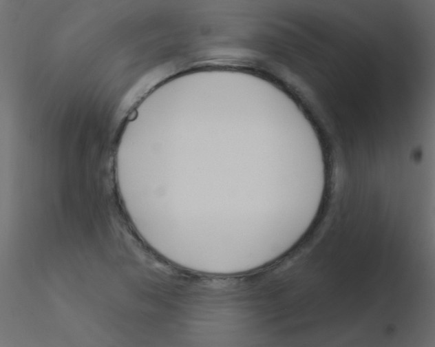 X0000115831362200912241947