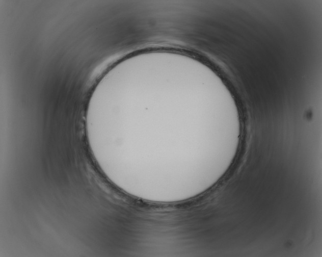 X0000115831363200912241947