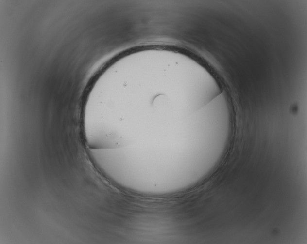 X0000115831364200912241947