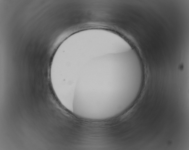 X0000115831365200912241947