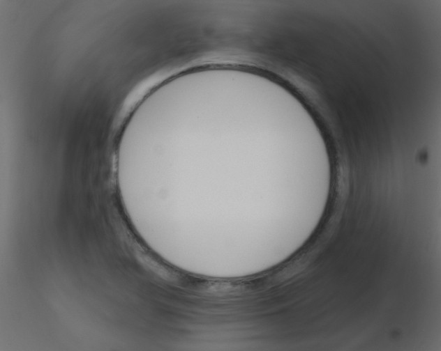 X0000115831366200912241947