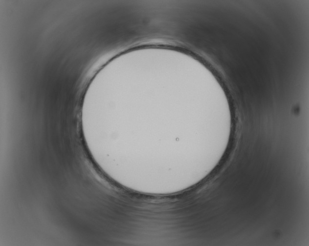 X0000115831367200912241947