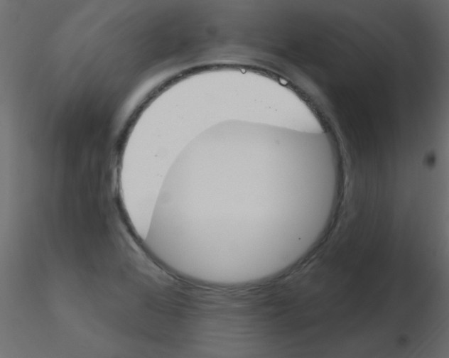 X0000115831368200912241947