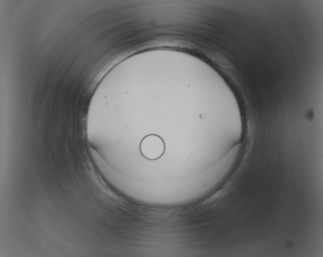 X0000115831369200912241947